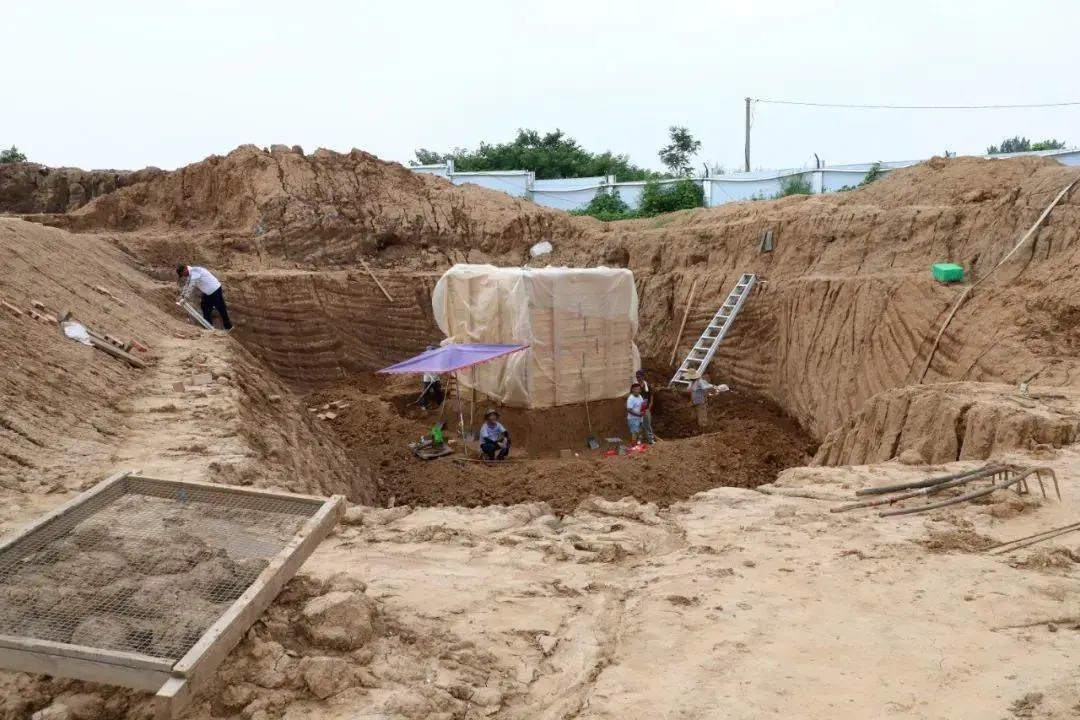 w66国际官网(中国)最给力的老牌娱乐 - welcome